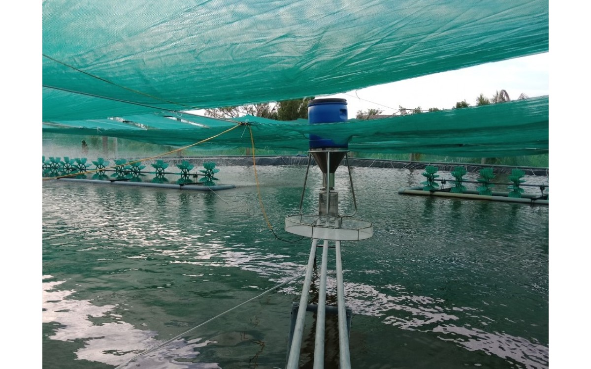 Lợi &iacute;ch của m&aacute;y cho t&ocirc;m ăn tự động